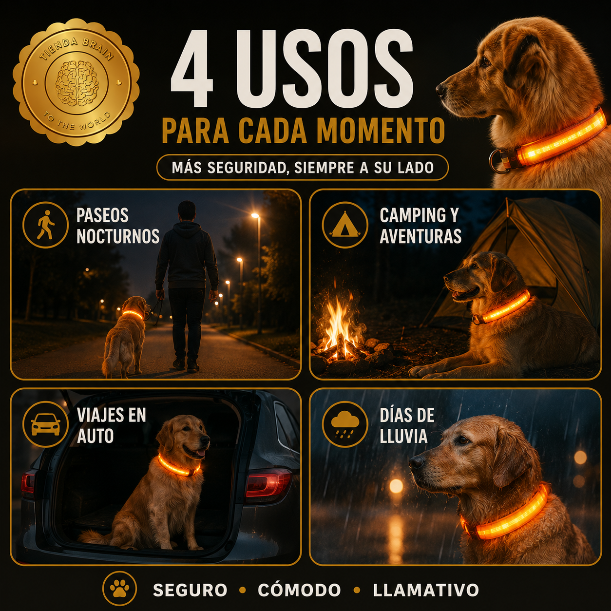 GlowGuard™ 🌟🐕Collar Luminoso LED Recargable ⭐⭐⭐⭐⭐