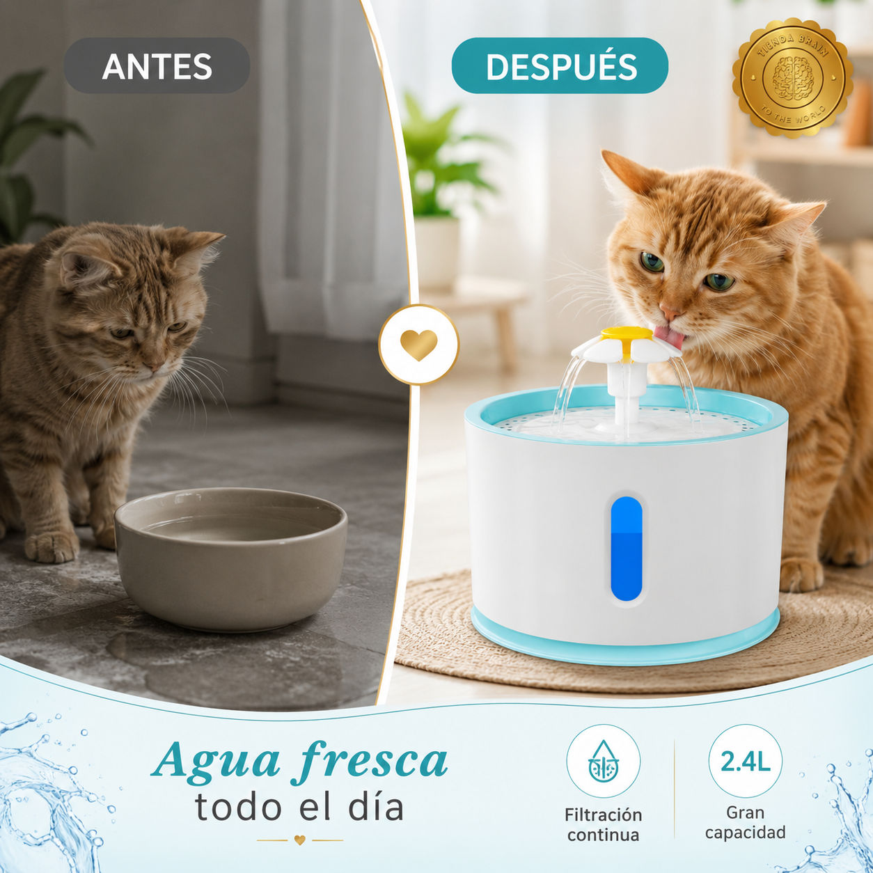 DrinkCircle™ 🔄🐶🐱Fuente de Agua Electrica Redonda⭐⭐⭐⭐⭐