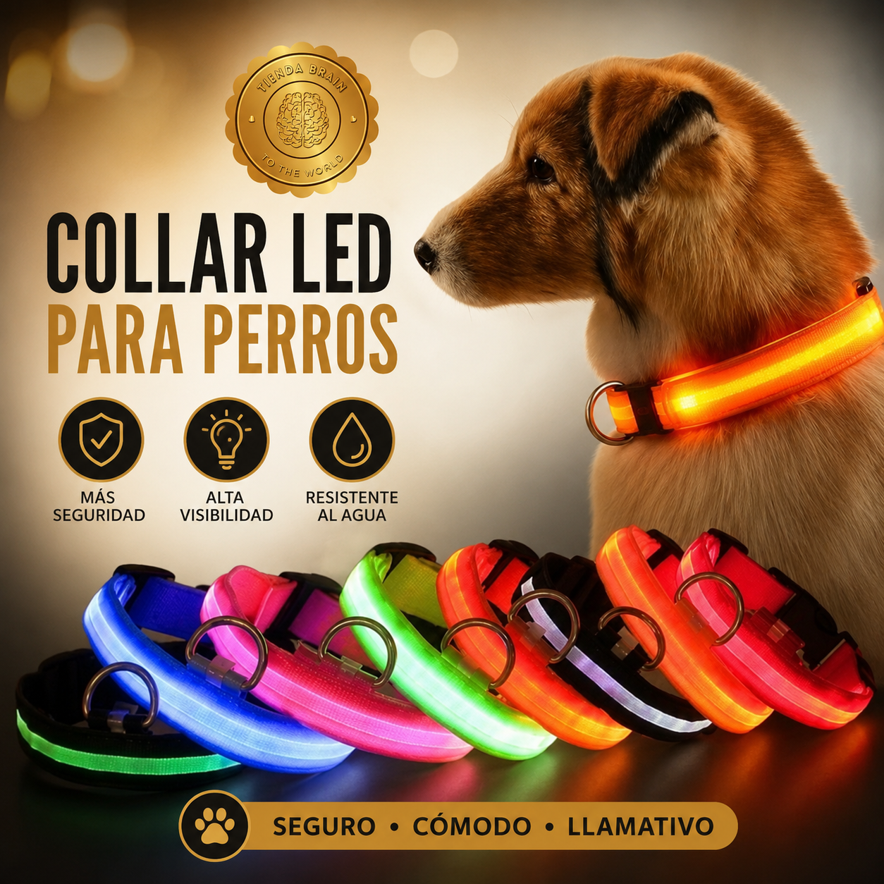GlowGuard™ 🌟🐕Collar Luminoso LED Recargable ⭐⭐⭐⭐⭐