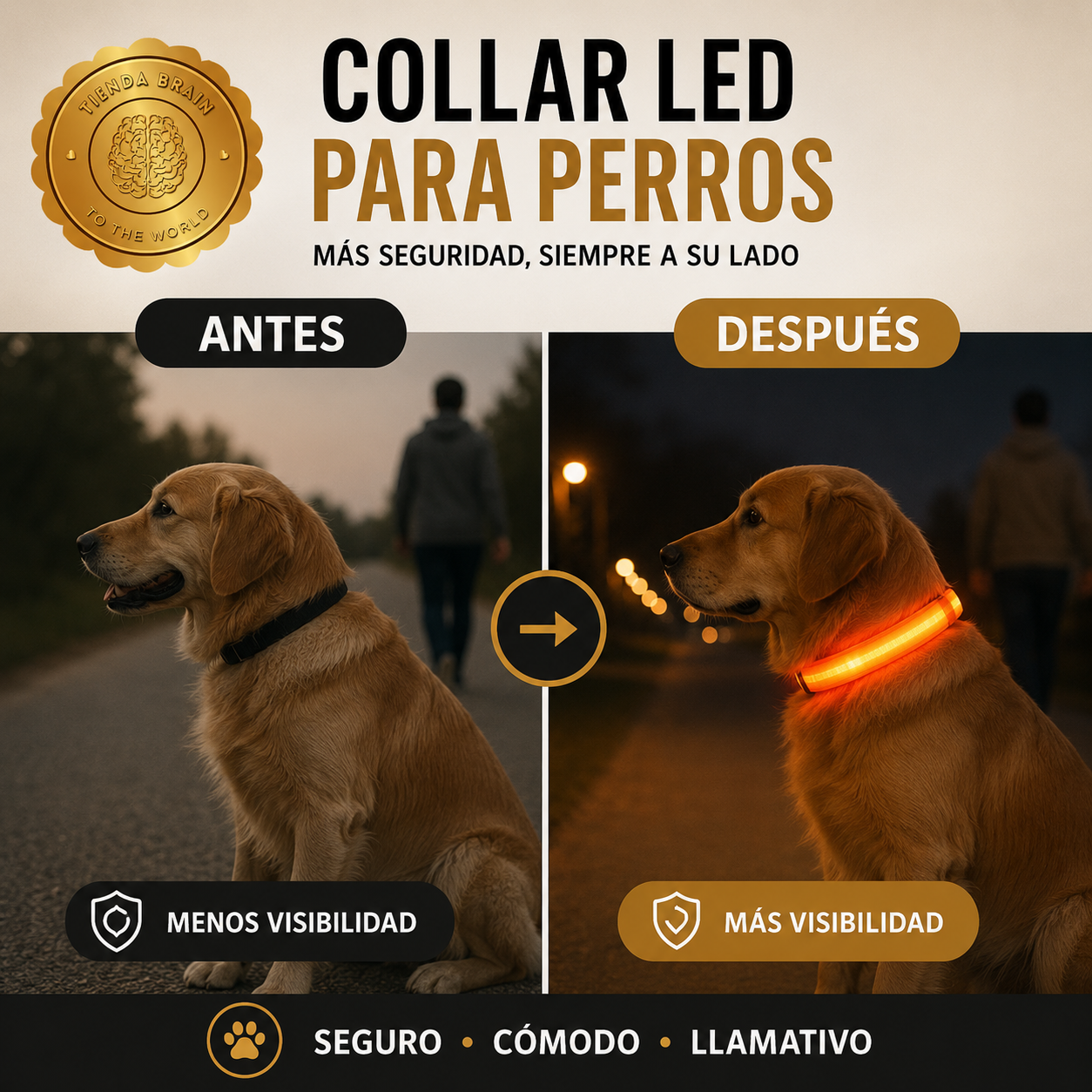 GlowGuard™ 🌟🐕Collar Luminoso LED Recargable ⭐⭐⭐⭐⭐