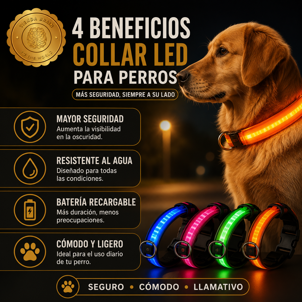 GlowGuard™ 🌟🐕Collar Luminoso LED Recargable ⭐⭐⭐⭐⭐