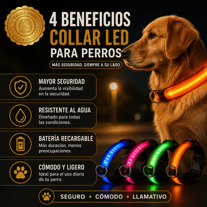 GlowGuard™ 🌟🐕Collar Luminoso LED Recargable ⭐⭐⭐⭐⭐