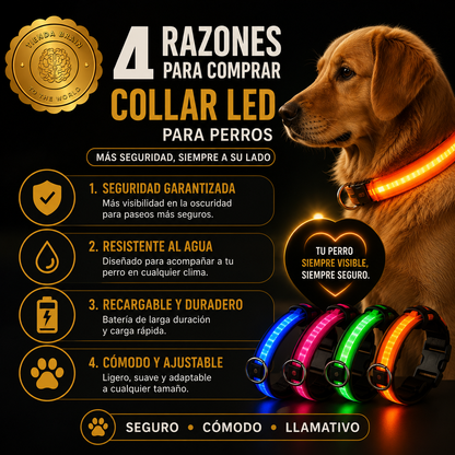 GlowGuard™ 🌟🐕Collar Luminoso LED Recargable ⭐⭐⭐⭐⭐
