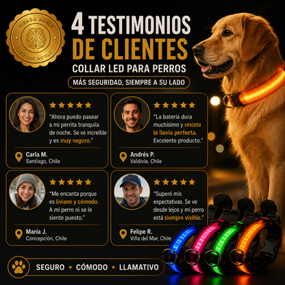 GlowGuard™ 🌟🐕Collar Luminoso LED Recargable ⭐⭐⭐⭐⭐