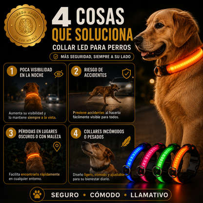 GlowGuard™ 🌟🐕Collar Luminoso LED Recargable ⭐⭐⭐⭐⭐