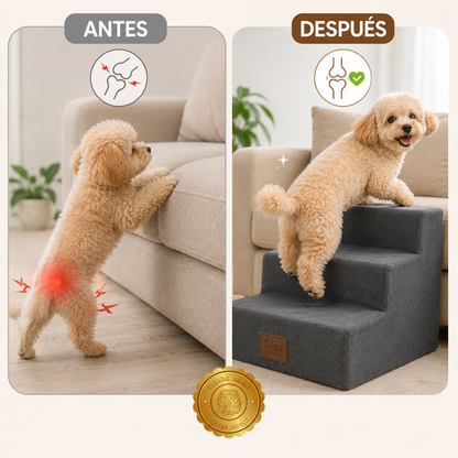 DoggyClimb™ 🐶⬆️Escaleras De 3 Pasos Para Mascotas Perro⭐⭐⭐⭐⭐