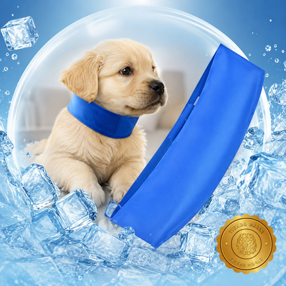 CoolPaw™ ❄️🐾🧊Collar Refrescante para Mascota⭐⭐⭐⭐⭐