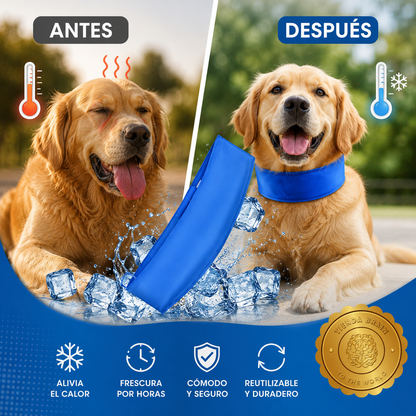 CoolPaw™ ❄️🐾🧊Collar Refrescante para Mascota⭐⭐⭐⭐⭐