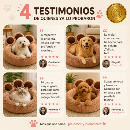 NapNest™ 🐶☁️💖Cama 50 cm para mascota perro⭐⭐⭐⭐⭐
