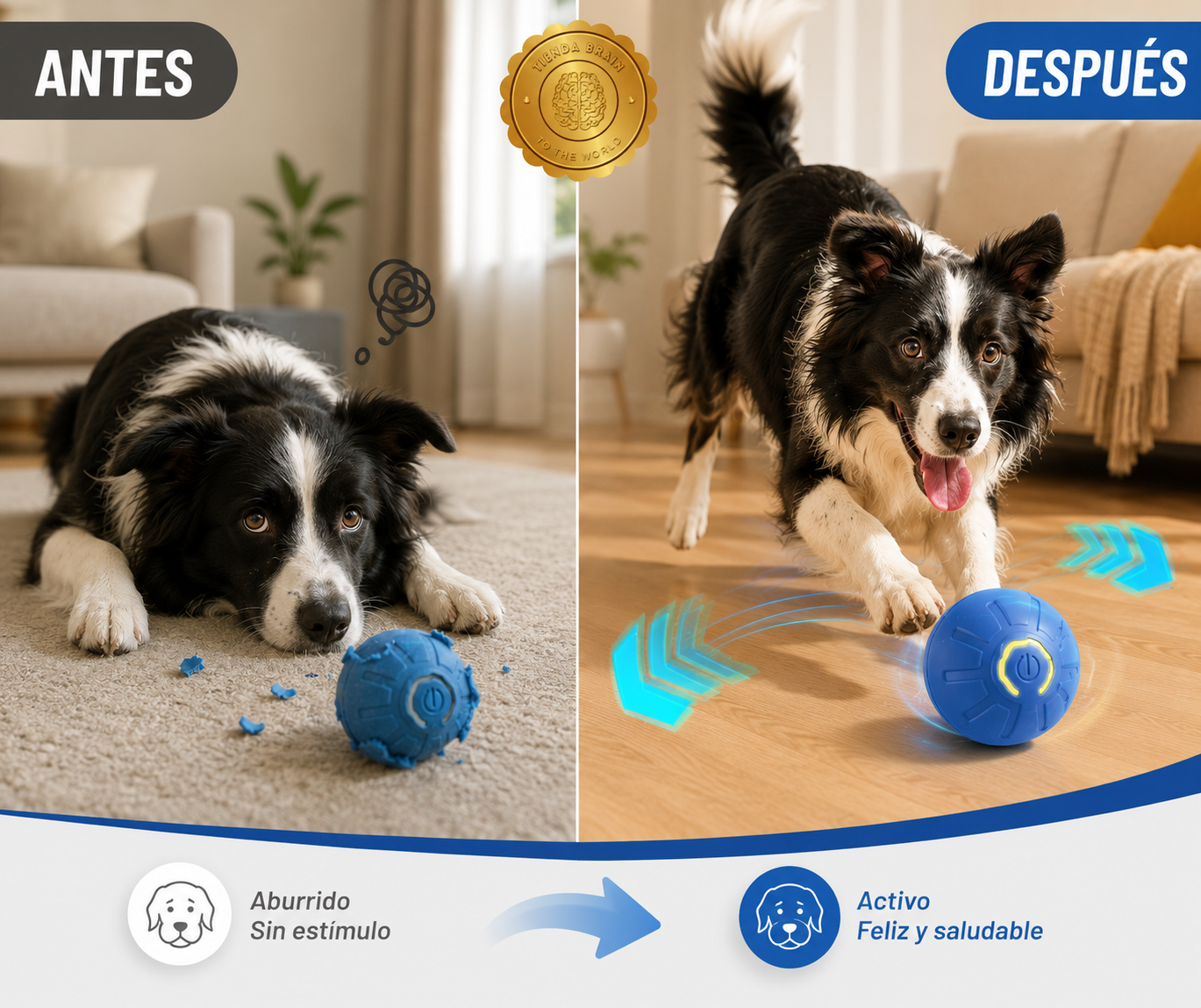 IntelliPaw™ 🎾🐶🧠Pelota Inteligente para Mascotas⭐⭐⭐⭐⭐