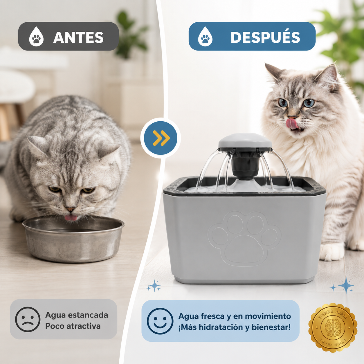 AquaPetix™ 💧🐶🐱Fuente de Agua Automática 2.5 L⭐⭐⭐⭐⭐