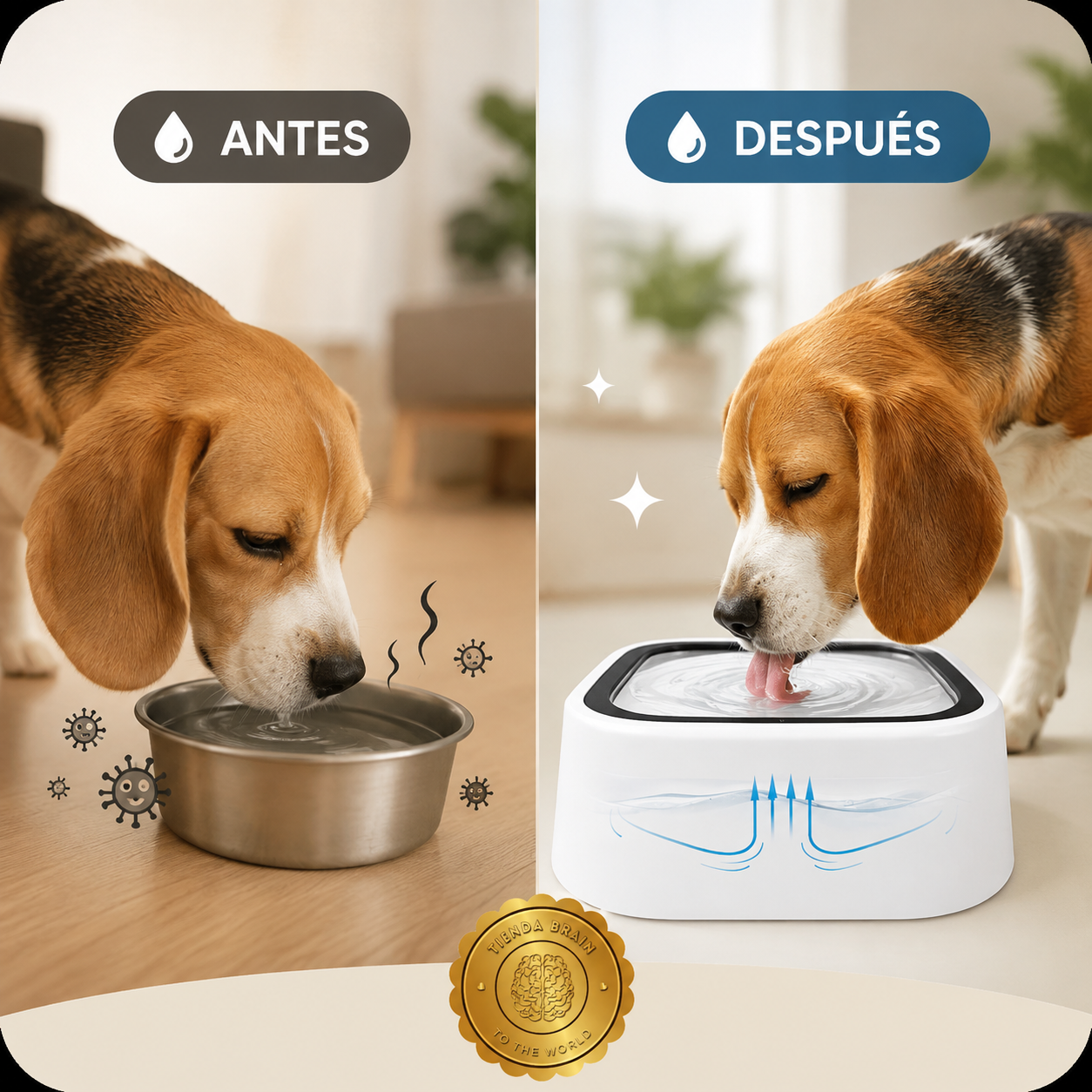 AquaGuard™🔵🐾BEBEDERO ANTIDERRAME PARA PERROS Y GATOS⭐⭐⭐⭐⭐